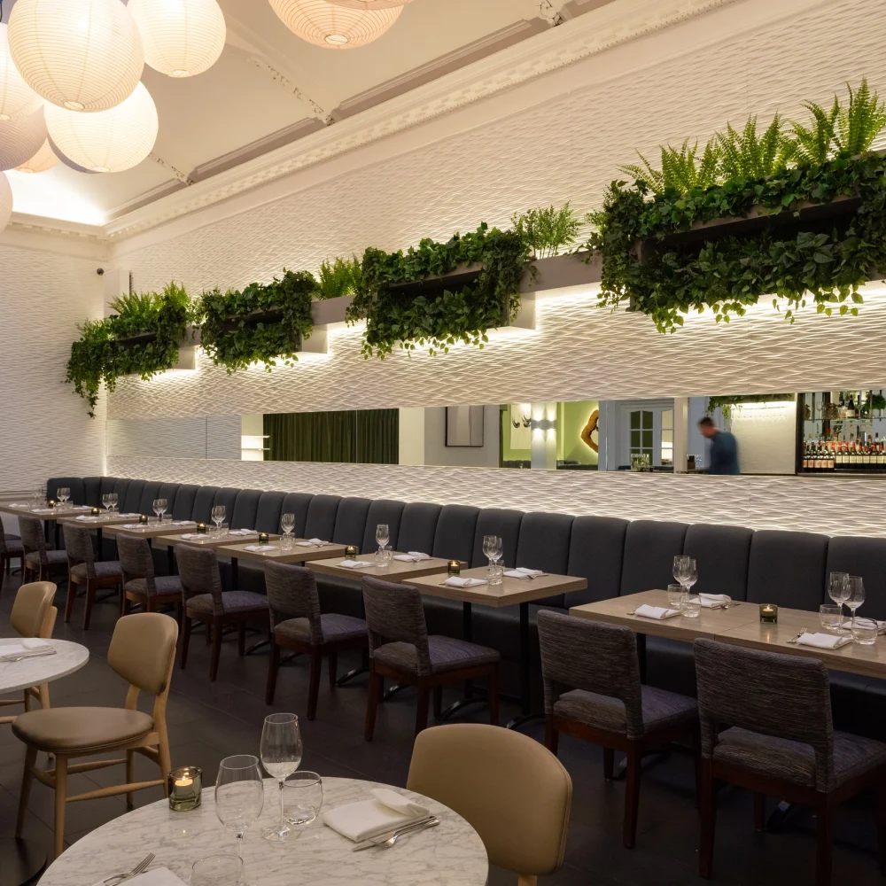 Steak & Lobster Fitzrovia dining room with lanterns, skylight, planters and banquette seating